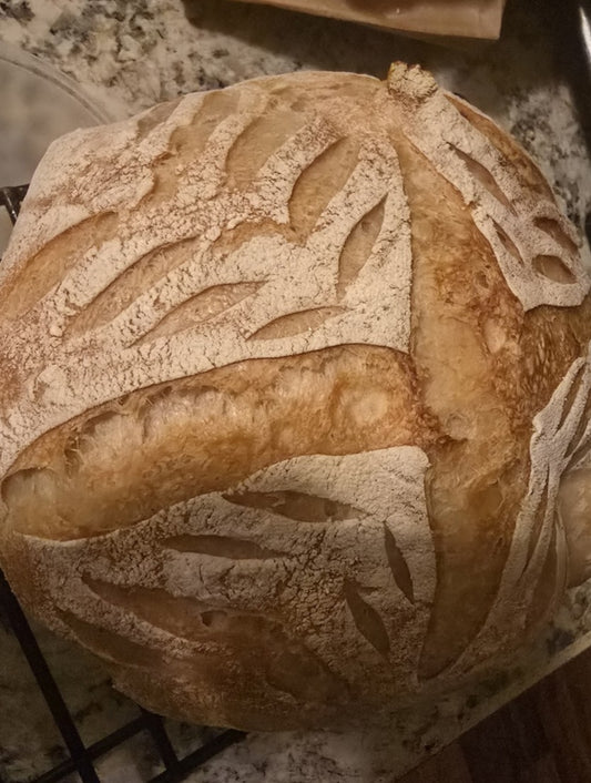 Sourdough image 0